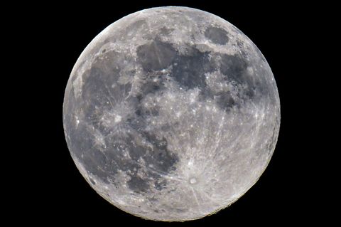 Der Vollmond ist am Nachthimmel zu sehen. Der Vollmond ist am Nachthimmel zu sehen.