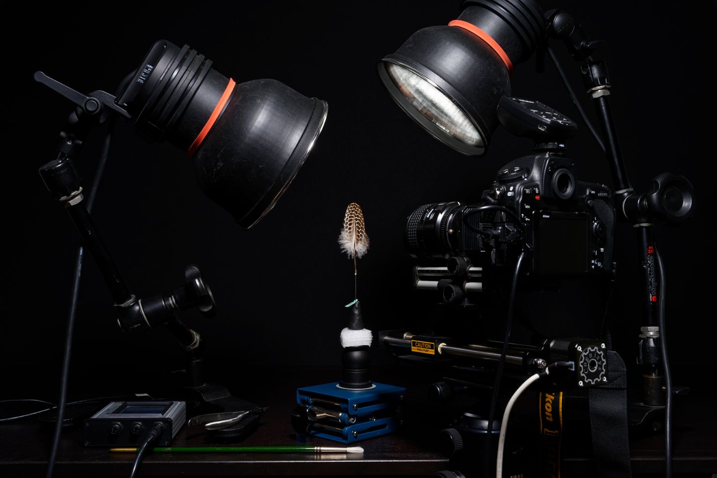Studioaufbau für Feder Aufnahmen via Focus stacking