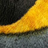 Königspinguin: Gefiederausschnitt Kopf/ Halsbereich, schwarz, grau, gelb