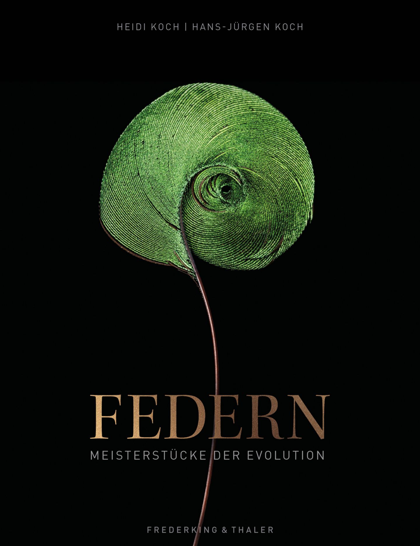 Buchtitel des Buches " Federn – Meisterstücke der Evolution"