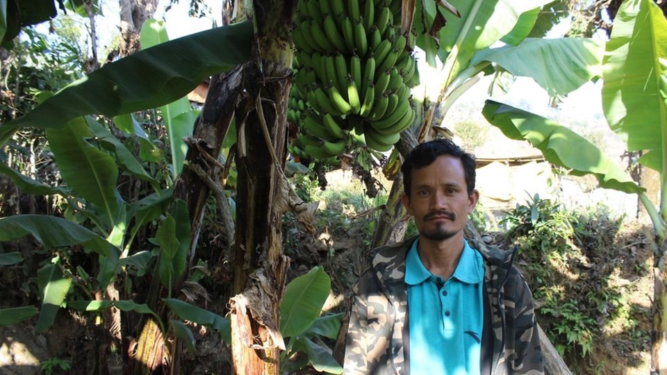 Bananenpflanzen Ein Bauer steht unter einer Bananenstaude