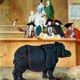 Das Nashorn Clara in einem Ölgemälde