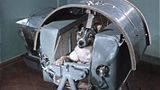 Der Hund Laika in seiner Weltraum-Kapsel