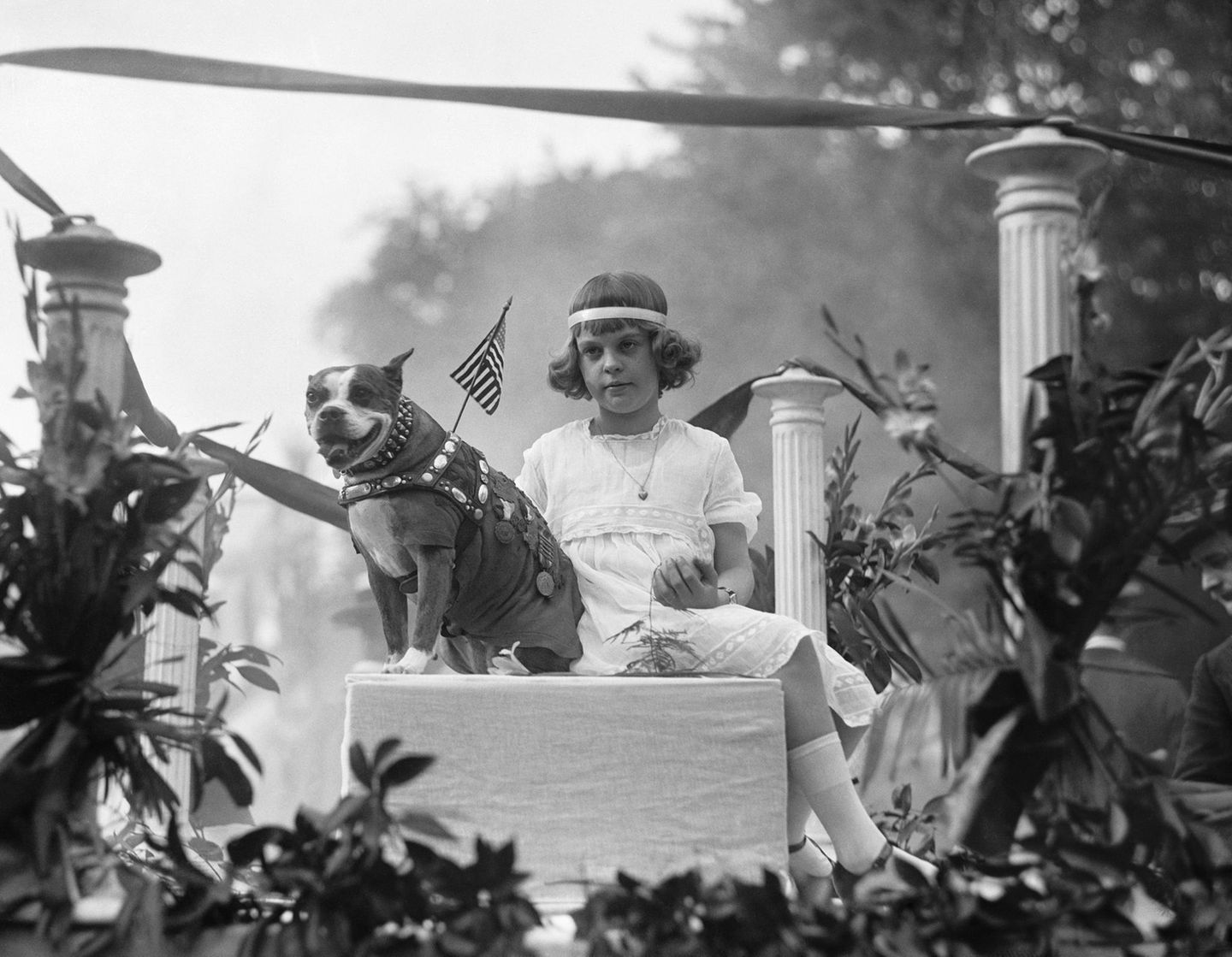 Beistand im Schützengraben: Sergeant Stubby Der Hund "Sergeant Stubby" bei einer Parade