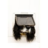 Einmal so frei sein wie die Hauskatze und einfach durch die Klappe entwischen – das gelang "Hector" leider nicht. Dafür brachte es das Foto von seinem Versuch zum Gesamtgewinner der Comedy Pet Photo Awards.     