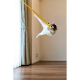 Katzen kommen einfach auf die unmöglichsten Ideen: Wie Tarzan an der Liane schwingt der dynamische Stubentiger durch sein Zuhause.