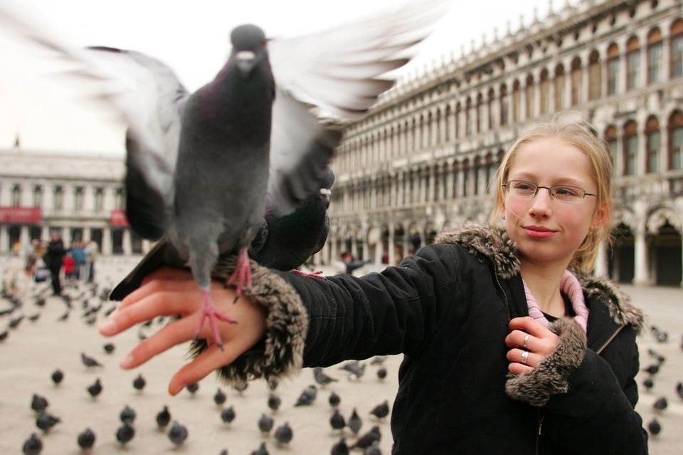 Mädchen seht auf einem Platz und hält Vogel auf der Handoberfläche