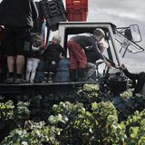 Kinder und Männer bei der Traubenernte