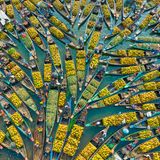 Schiffe aus der Luft mit Frucht und Gemüse beladen