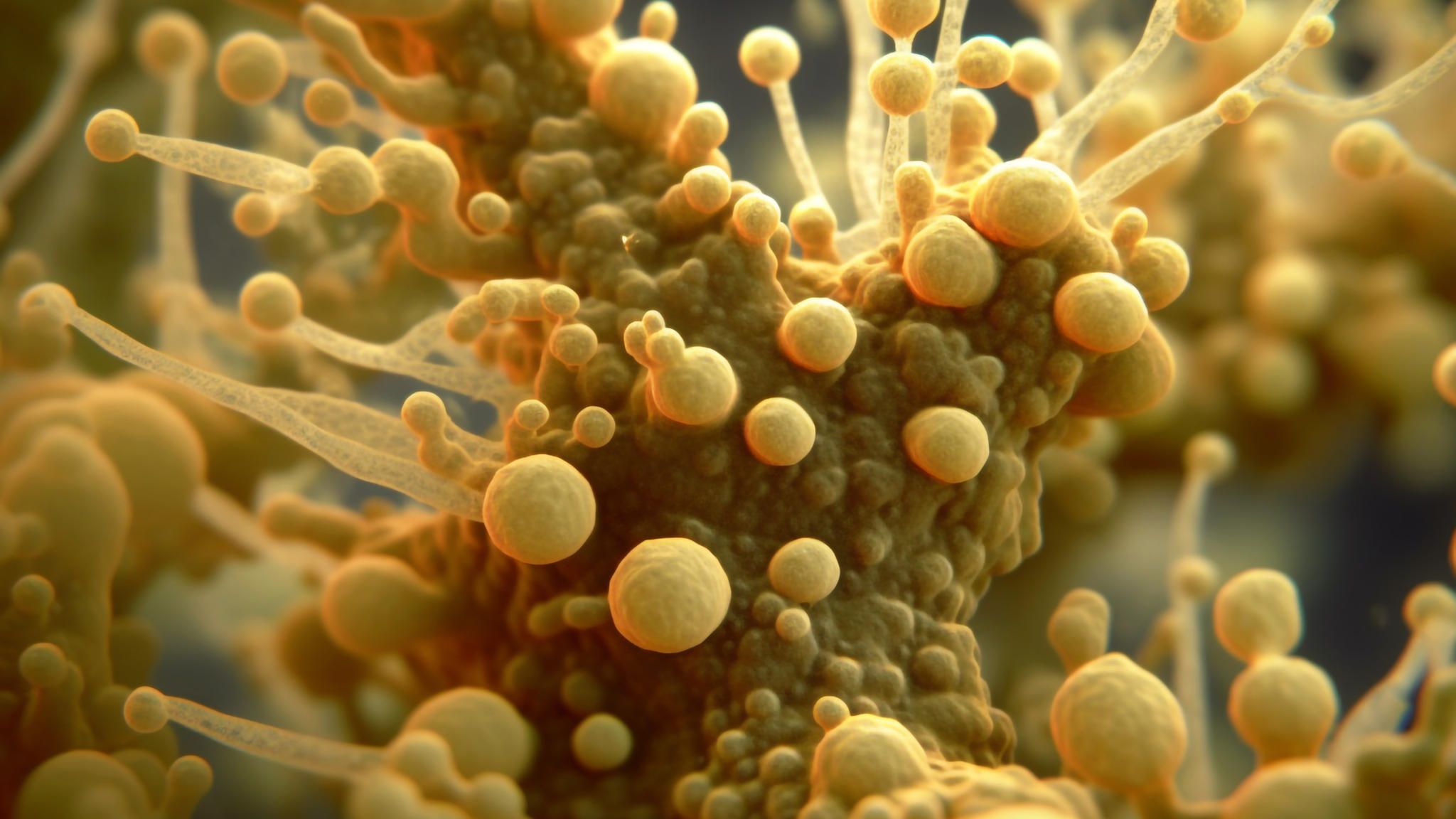 Hefepilz Candida Auris als gelbe Illustration auf dunklem Grund