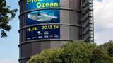 Spektakuläre Bilder präsentiert auch der Gasometer Oberhausen in einer Ausstellung, bei der GEO Medienpartner ist. Anhand teils noch nie gezeigter Fotos und Filme demonstriert "Planet Ozean" die Vielfalt des Lebens in den Meeren unserer Erde. Nicht nur die Augen werden dabei angesprochen: Im "Ocean Sound Raum" tauchen die Besucherinnen und Besucher in einzigartige Klangwelten ein. Hier ploppt, knistert, kracht es, wenn Abertausende Krustentiere, ein Schwarm Kabeljaue oder die Bewohner von Korallenriffen ihre per Mikrofon erlauschten Lebenszeichen erklingen lassen. GEO-Reporter Dirk Steffens spricht zudem den Audioguide, der durch die Bildergalerie führt. Höhepunkt der Ausstellung stellen überdimensionale Leinwände dar, die als Projektionsfläche für die beeindruckende Meereswelt dienen. Ganz ohne Pressluftflasche und Atemmaske kann das Publikum so riesigen Fischschwärmen oder Meeresgiganten begegnen. Die Ausstellung läuftmindestens bis 30. Dezember 2024. Weitere Infos finden Sie hier.
