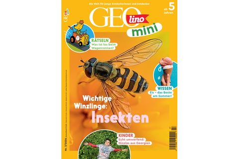 GEOlino mini: Wichtige Winzlinge: Insekten