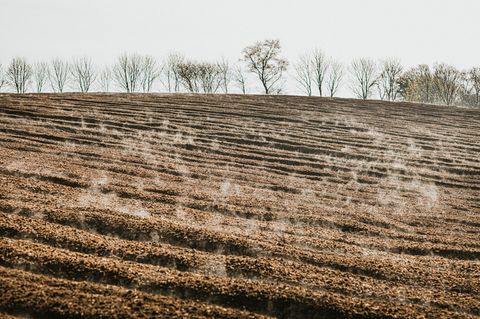 Wird auf Äckern ausgebrachte Gülle nicht vollständig von den Pflanzen aufgenommen, kann sie sich direkt in Lachgas verwandeln