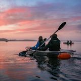 Kayakfahrer paddeln im Sonnenuntergang auf dem Limfjord