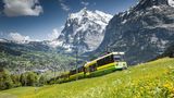 Wiese mit Löwenzahn, verschneite Gipfel, davor die Bahn