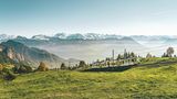 Anhöhe mit Wiese und Bahn, dahinter im Dunst verschneite Bergspitzen