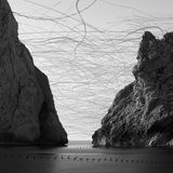 Ornithographie # 278, Tachymarptis melba, Alpensegler, Medas Inseln, Katalonien, 2023