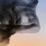 Ornithographie 172# Sturnus vulgaris , Gemeiner Star, Emporda, Katalonien , 2019