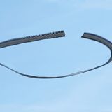 264, Circus pygargus, Wiesenweihe, Montgai d'Urgell, Katalonien, 2023