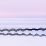 Ornithographie #249, Haematopus ostralegus, Austernfischer , North Uist, Schottland, 2022