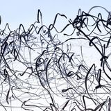 Ornithographie 112# Milvus migrans , Schwarzmilan, Tarifa, Spanien, 2017