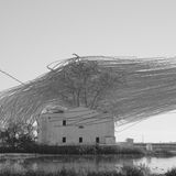 Ornithografie # 278, Tachymarptis melba, Alpensegler, Medas Inseln, Katalonien, 2023