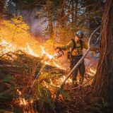 Humboldt County, Kalifornien: Erst in den letzten Jahren haben Behörden und Wissenschaftler begonnen, das Feuer als entscheidenden Bestandteil der Waldbewirtschaftung und als Ritual zu begreifen, das sie mit den kulturellen Praktiken der Ureinwohner verbindet. Steven Saiz von der Gemeinschaft der Hoopa (im Bild) ist einer von vielen amerikanischen Ureinwohnern, die dafür kämpfen, ihr angestammtes Recht auf Feuer auf kalifornischem Land zurückzuerlangen   