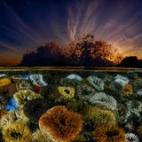Der Fotograf Geo Cloete suchte in den Gezeitentümpeln vor der südafrikanischen Kap-Halbinsel nach Motiven. Und fing mit einem Fischaugenobjektiv die stille Welt der Seeanemonen und der tosenden Brandung in einem einzigen Bild ein