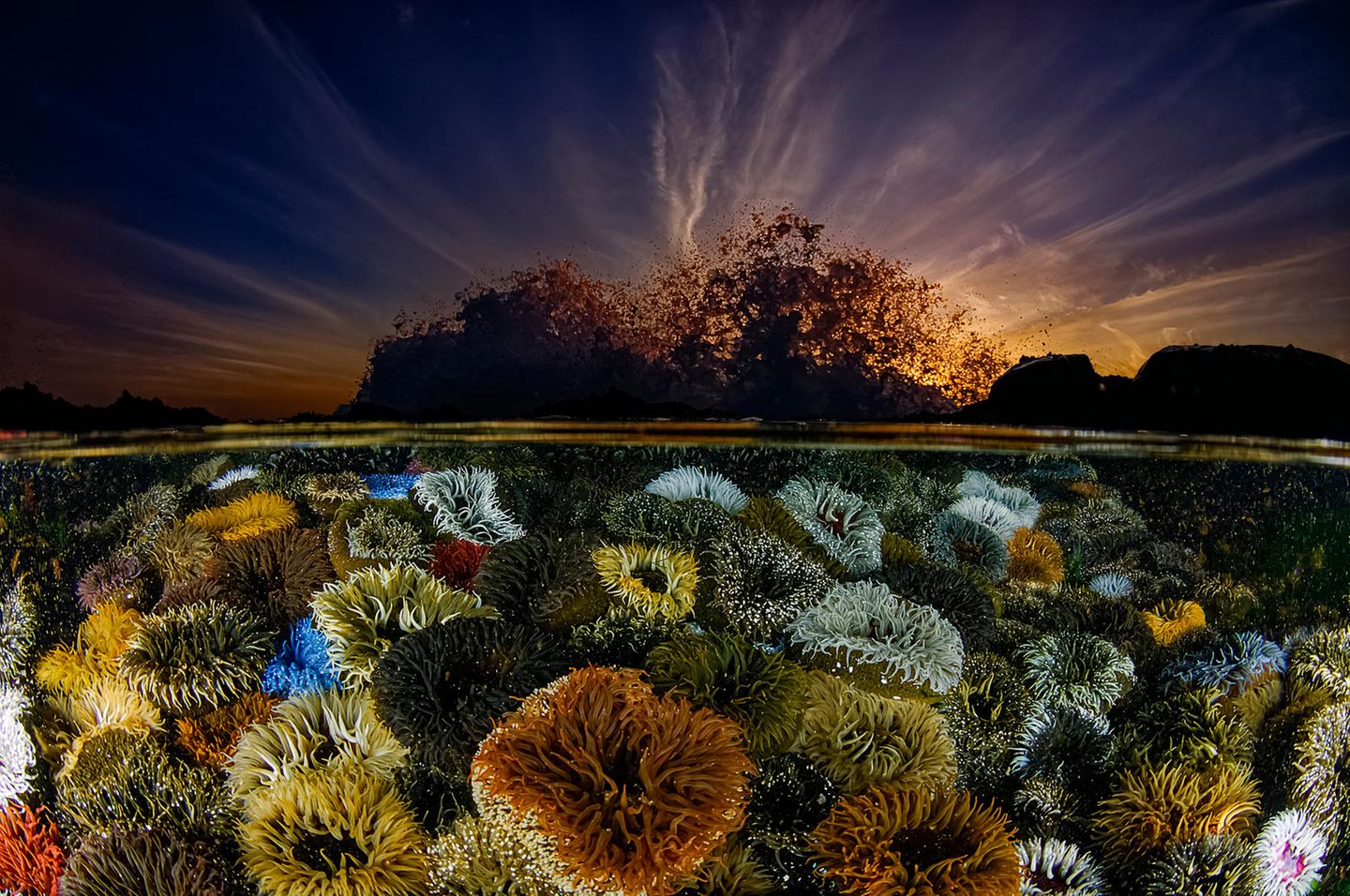 Seeanemonen in der Brandung Der Fotograf Geo Cloete suchte in den Gezeitentümpeln vor der südafrikanischen Kap-Halbinsel nach Motiven. Und fing mit einem Fischaugenobjektiv die stille Welt der Seeanemonen und der tosenden Brandung in einem einzigen Bild ein