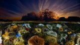 Der Fotograf Geo Cloete suchte in den Gezeitentümpeln vor der südafrikanischen Kap-Halbinsel nach Motiven. Und fing mit einem Fischaugenobjektiv die stille Welt der Seeanemonen und der tosenden Brandung in einem einzigen Bild ein