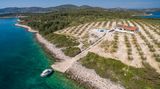 Zizanj in Kroatien