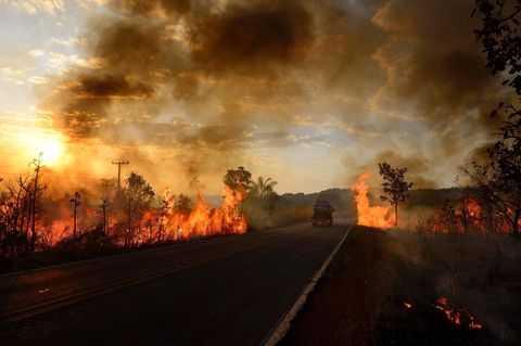 Ein Auto fährt auf einer Straße zwischen einem Waldbrand