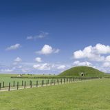 Wiese mit eingezäuntem Weg, der auf das Hügelgrab zuführt