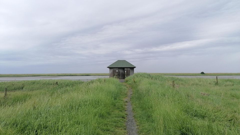 Vogelbeobachtungshütte Vogelbeobachtungshütte