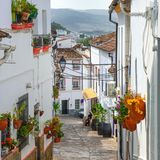 Eine Gasse mit Blumen geschmückt im Sonnenlicht