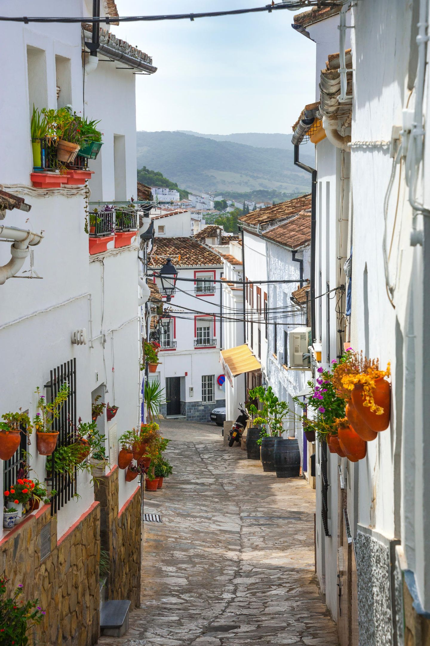 Pueblos Blancos: Fahrradtour entlang der weißen Dörfer Eine Gasse mit Blumen geschmückt im Sonnenlicht