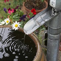 Wasser fließt in eine Regentonne