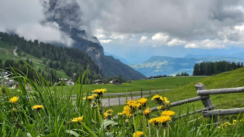 Seiser Alm in den Dolomiten