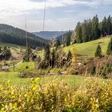 Berglandschaft über ein Hochtal