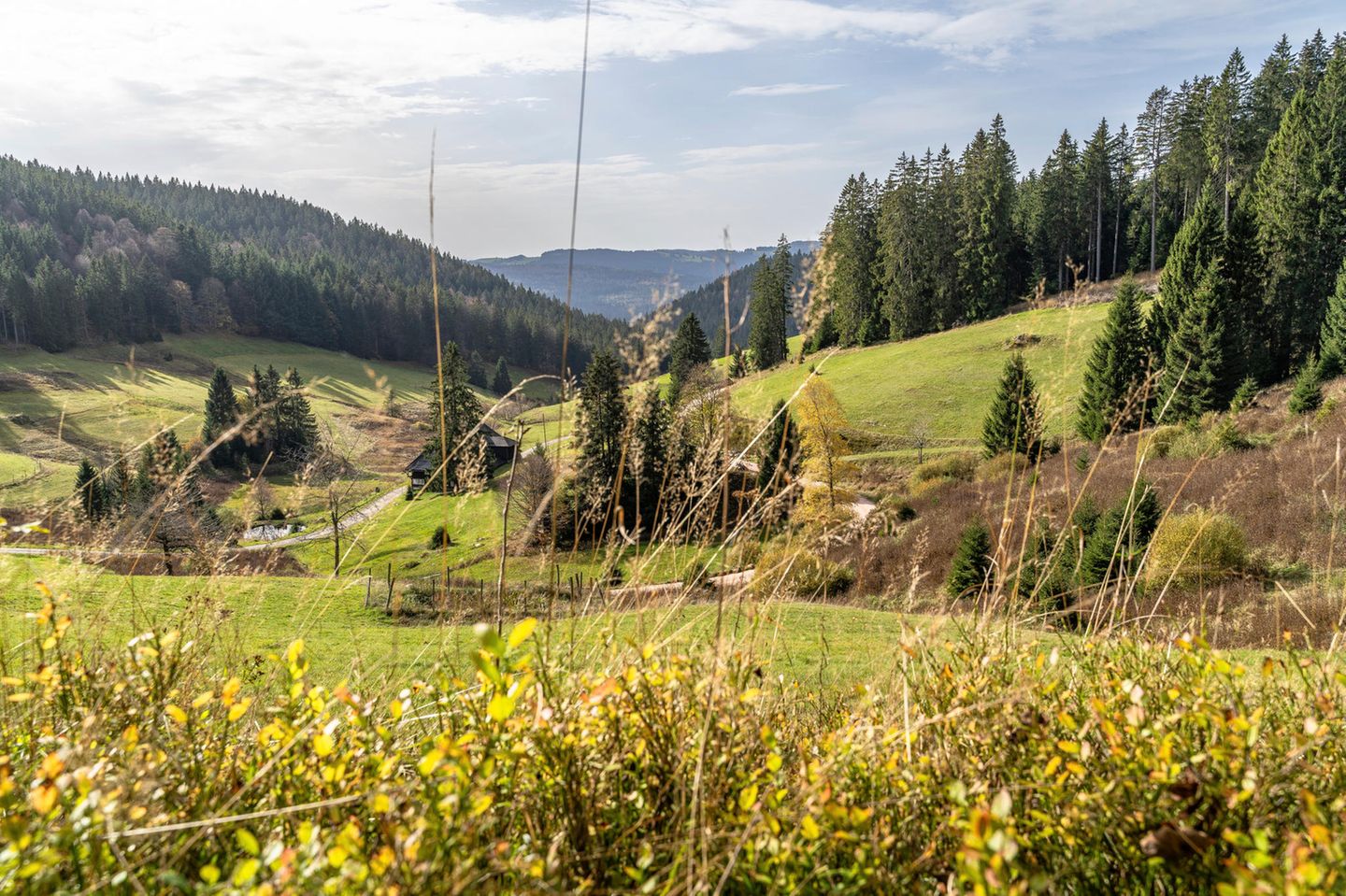 Berglandschaft über ein Hochtal
