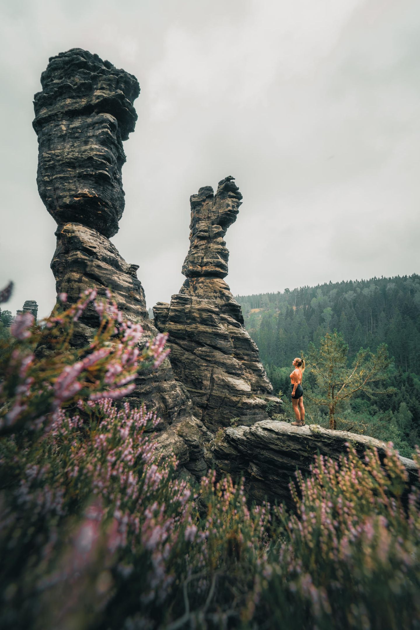 Zum Klettern: Felsformationen im Elbsandsteingebirge Wanderin vor den Herkulessäulen in der Sächsischen Schweiz