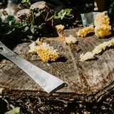 Utensilien eines Imkers auf einem Baumstamm