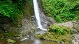 Ein Wasserfall in der Lydford Gorge