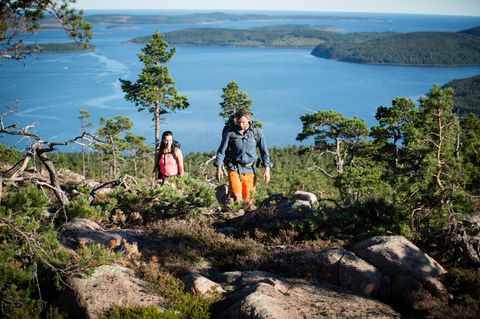 Wandernde an der Höga Kusten in Schweden