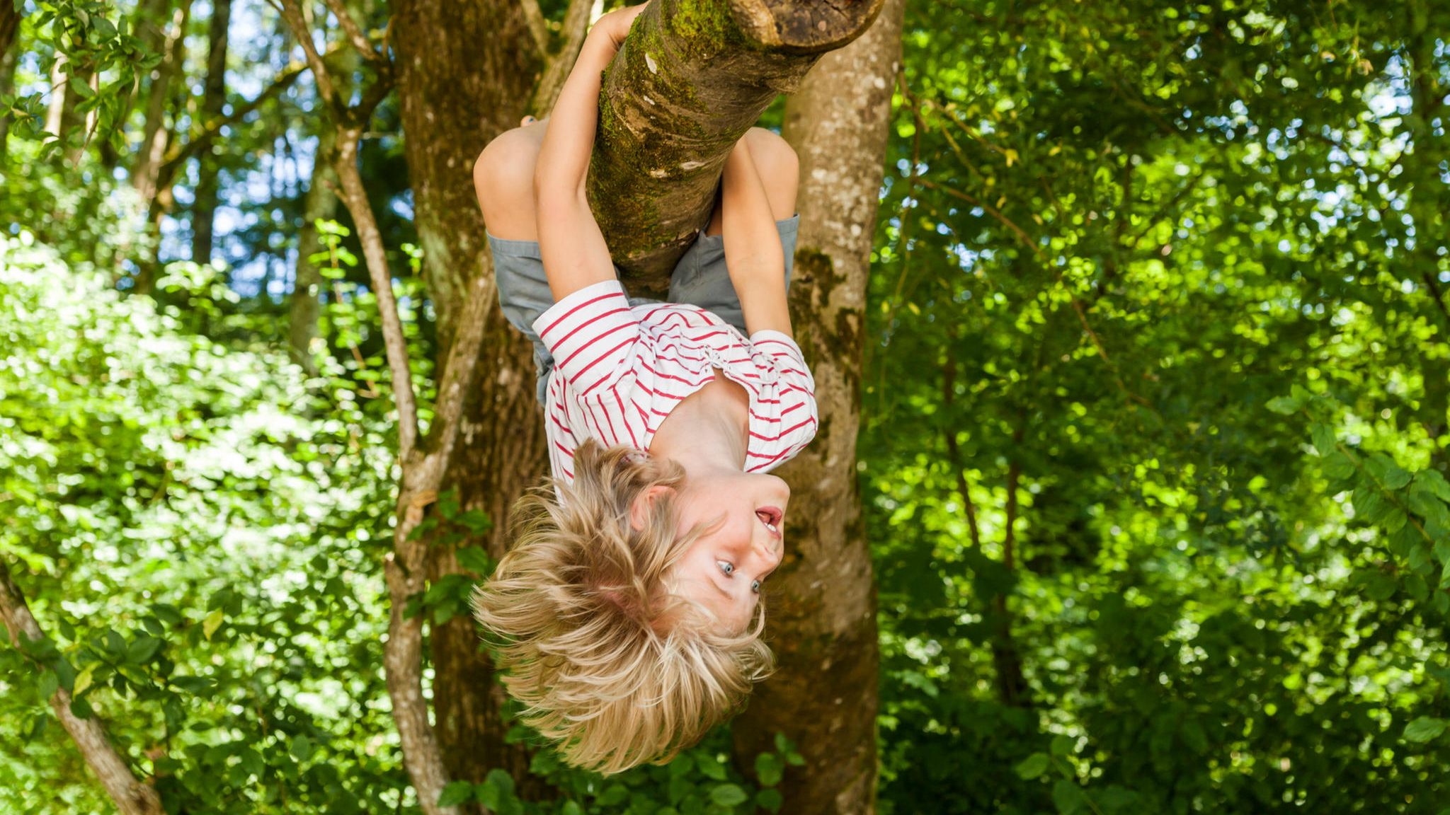 EIn Junge hängt kopfüber vom Baum