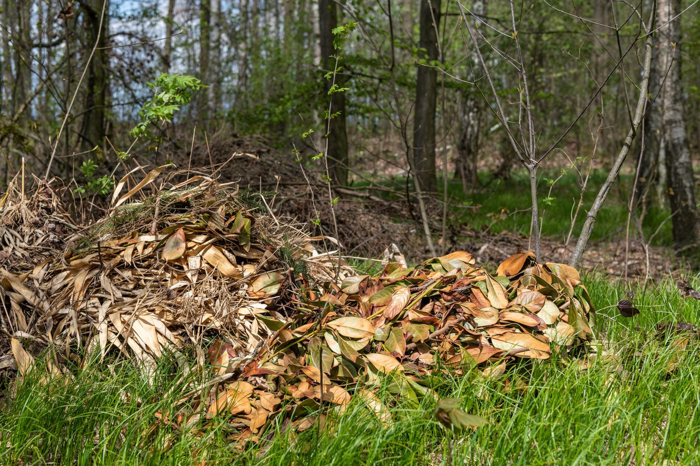 Gartenabfälle am Rande eines Waldes