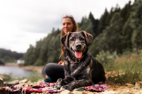 Erstausstattung Hund