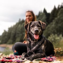 Erstausstattung Hund
