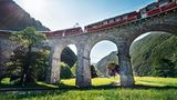 Zug fährt auf Viadukt