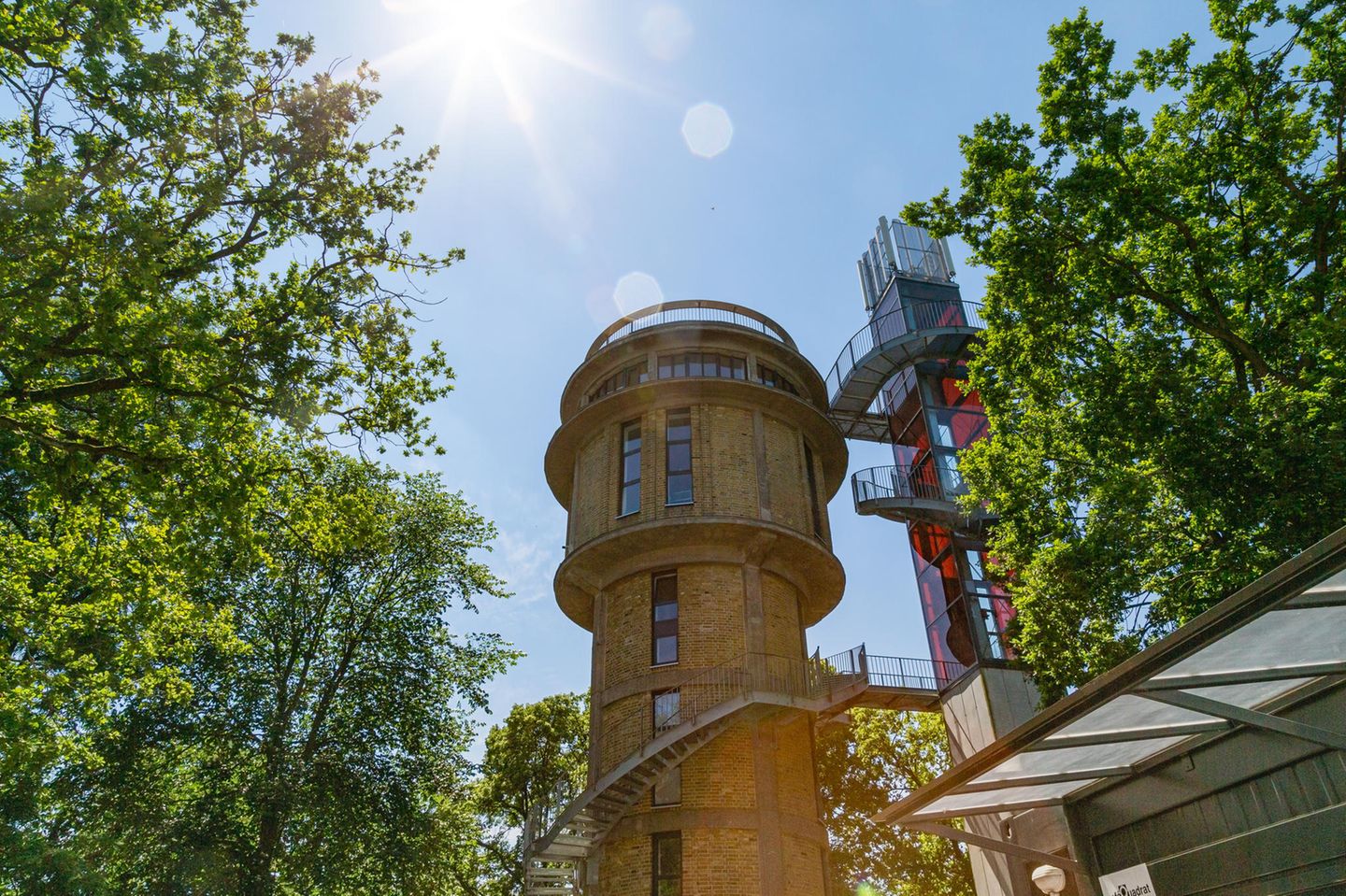 Rundum-Blick: Biorama-Turm Runder Turm mit Aussichtsterrasse zwischen den Bäumen